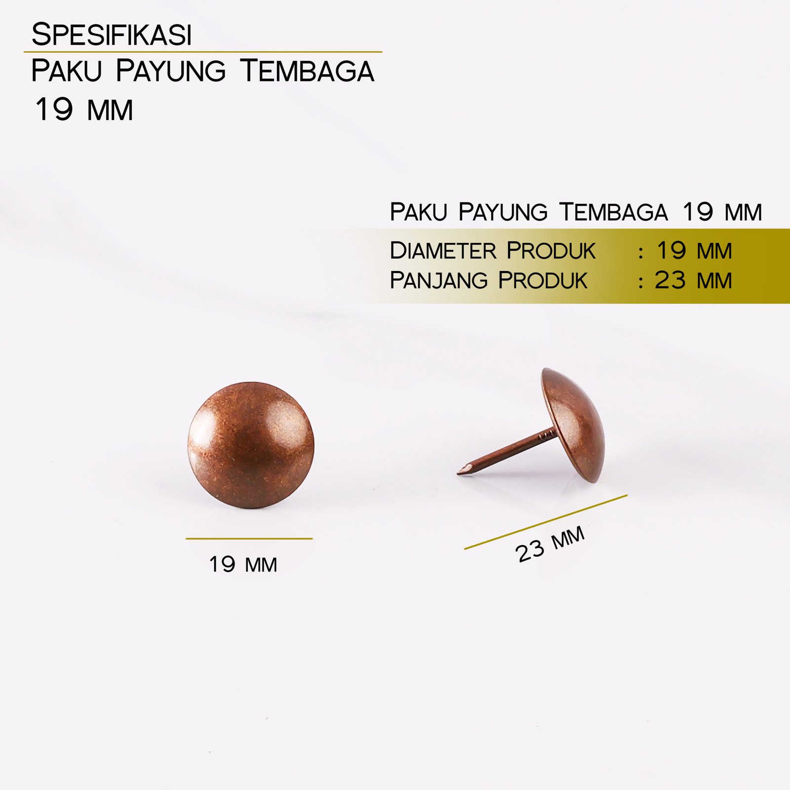 Paku Payung & Paku Polos - Image 11