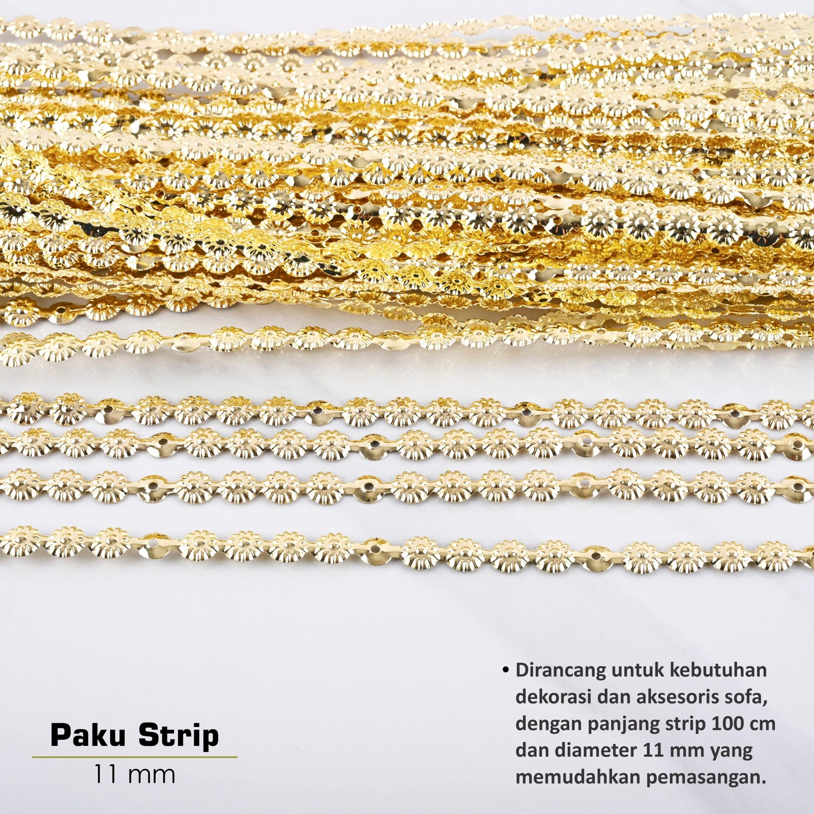 Paku Payung Strip - Image 4