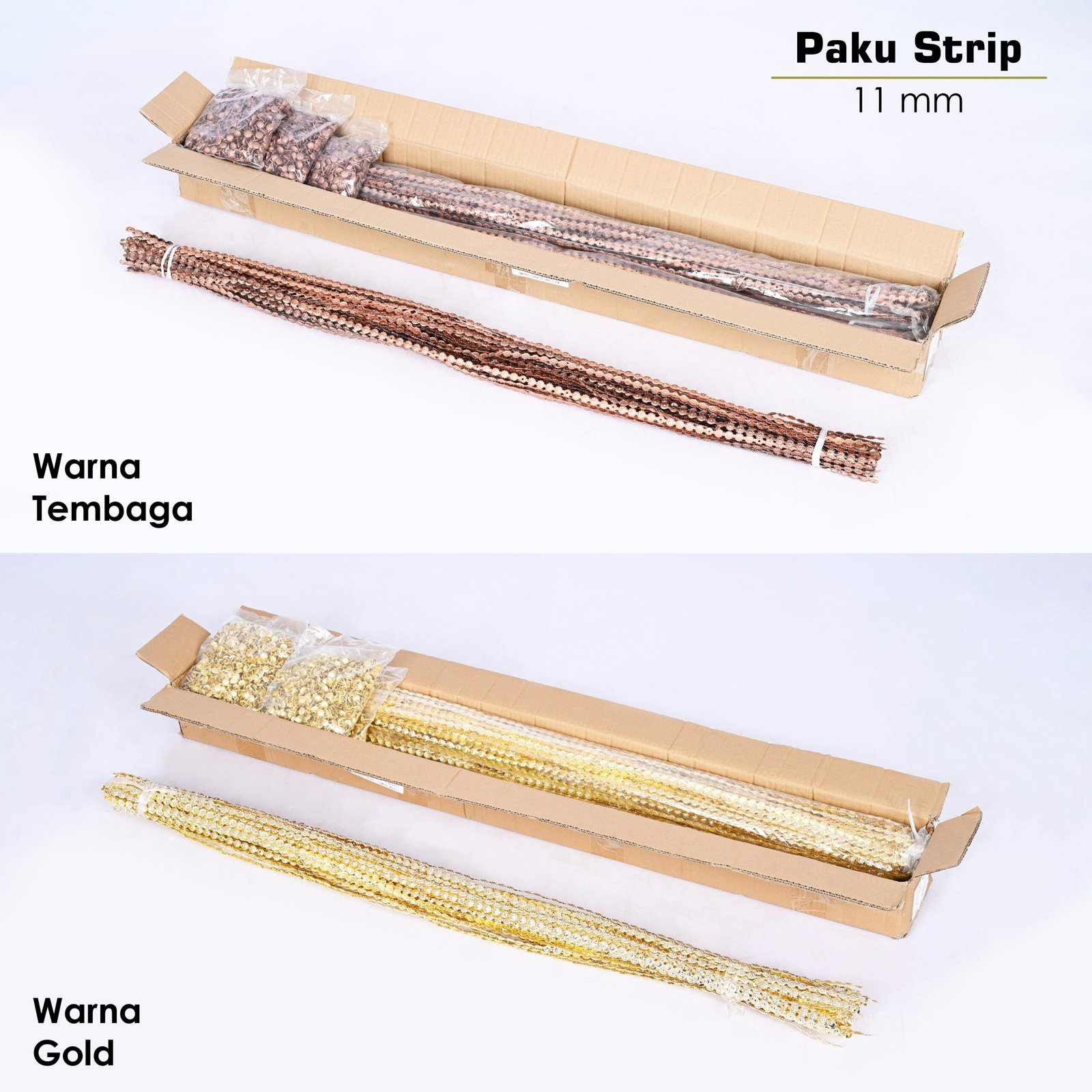 Paku Payung Strip - Image 5