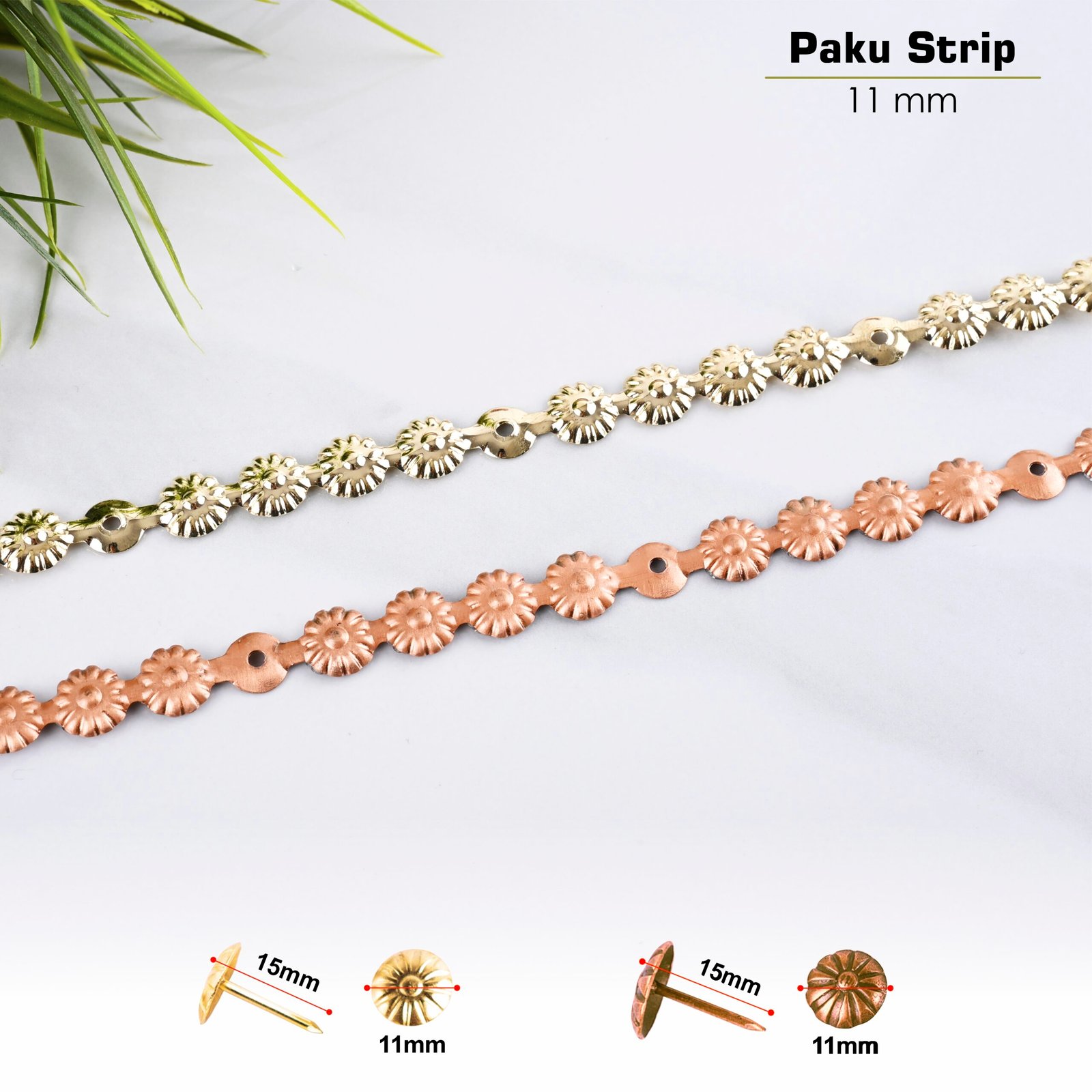 Paku Payung Strip - Image 6