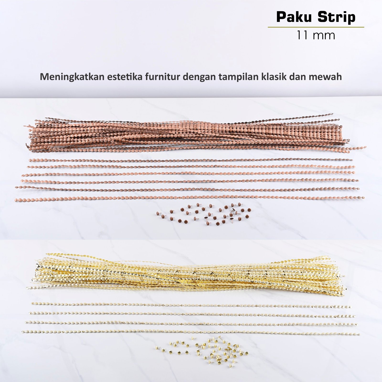 Paku Payung Strip - Image 7