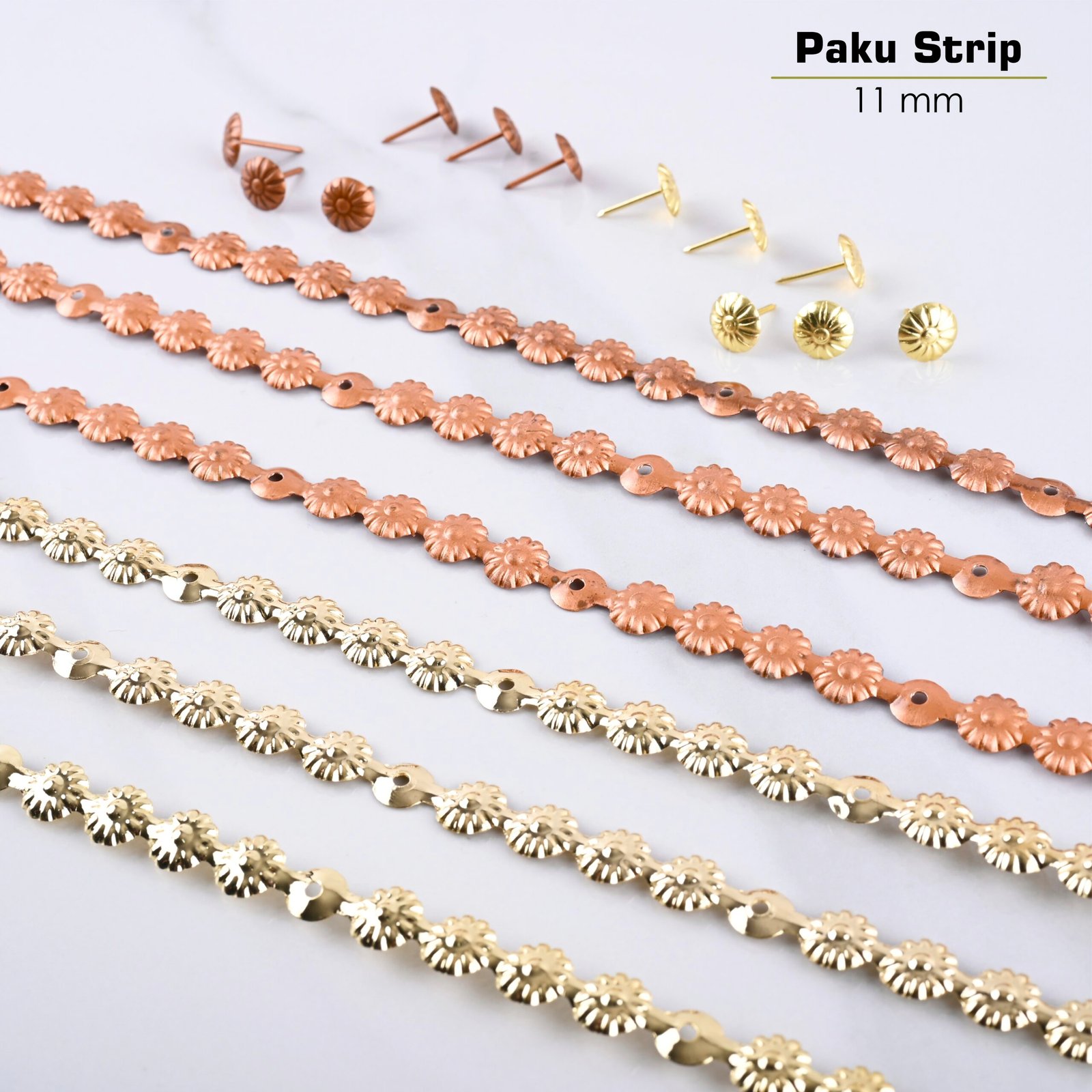 Paku Payung Strip - Image 8