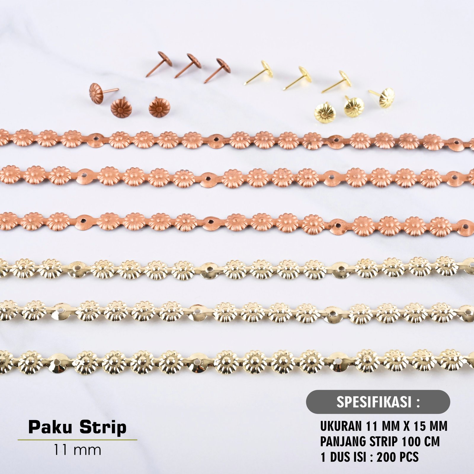 Paku Payung Strip - Image 9