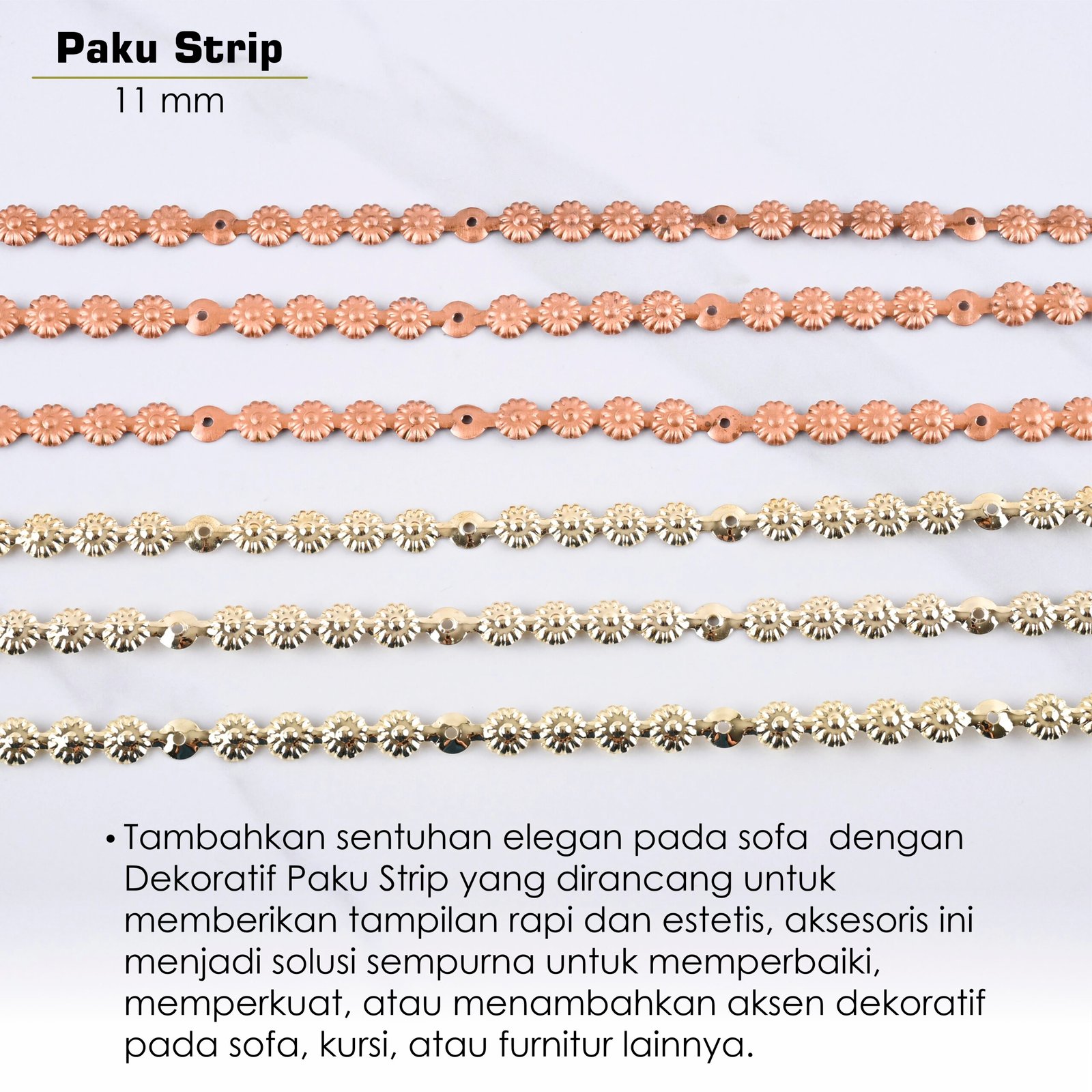 Paku Payung Strip - Image 11